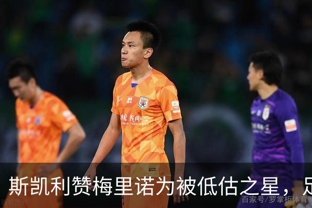 斯凯利赞梅里诺为被低估之星，足球理解令人钦佩
