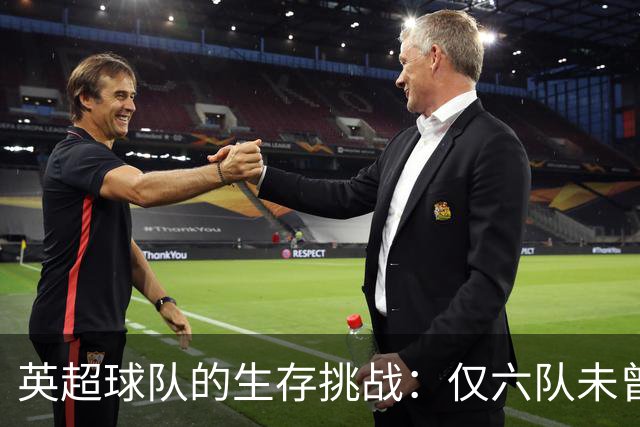 英超球队的生存挑战：仅六队未曾降级，曼城的遗憾与现状