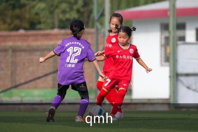 qmh 公司简介